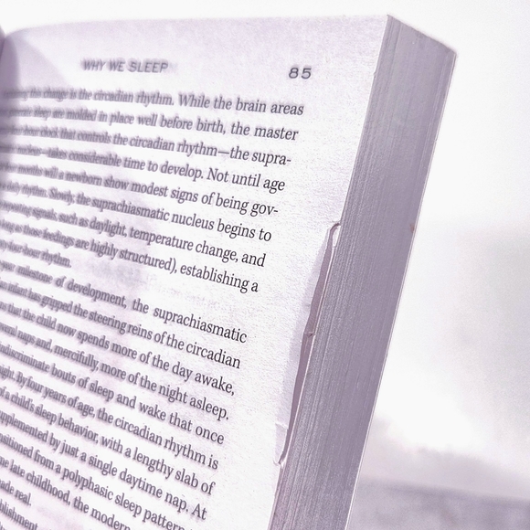 Why We Sleep: The New Science of Sleep and Dreams by Matthew Walker Penguin 2018 - Picture 12 of 12